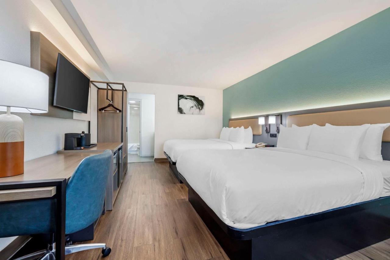 Comfort Sea World Area Locanda